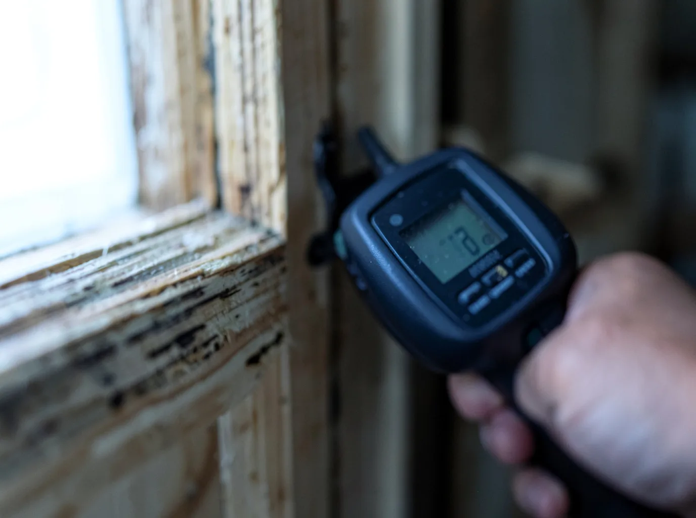 Moisture Inspection And Documentation in San Luis, CO